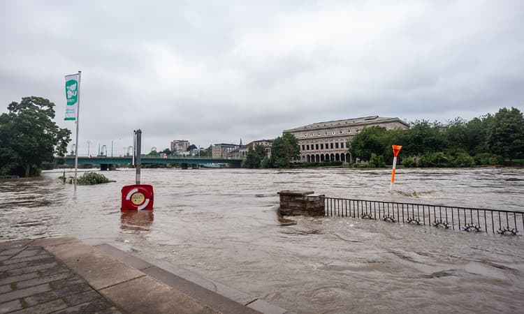 Too warm but averagely wet: DWD presents 2021 German weather report
