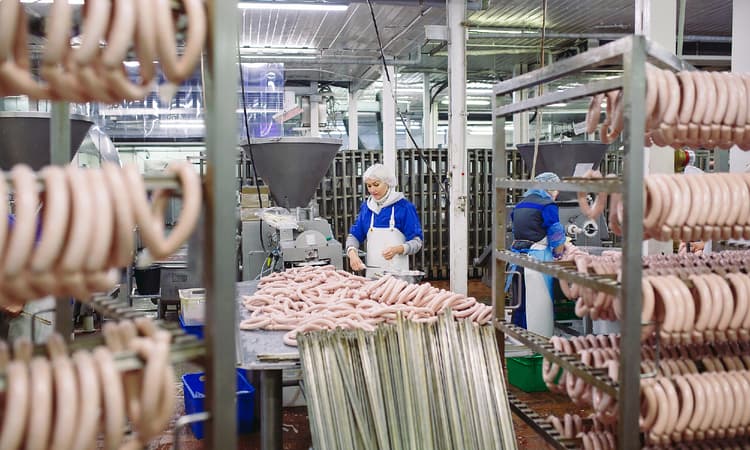 Police raid abattoirs across Germany accused of smuggling in workers