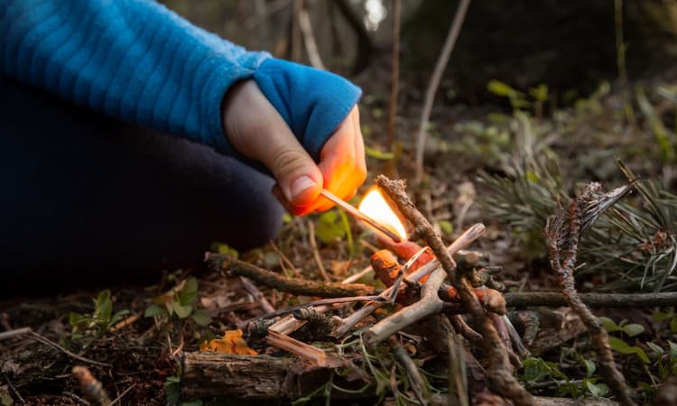 Senator calls for firework ban across Germany