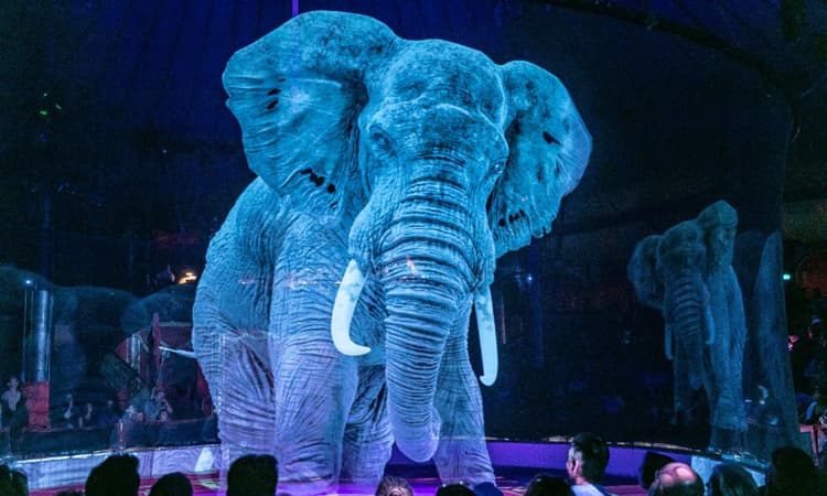 [Video] The German circus using holograms instead of live animals