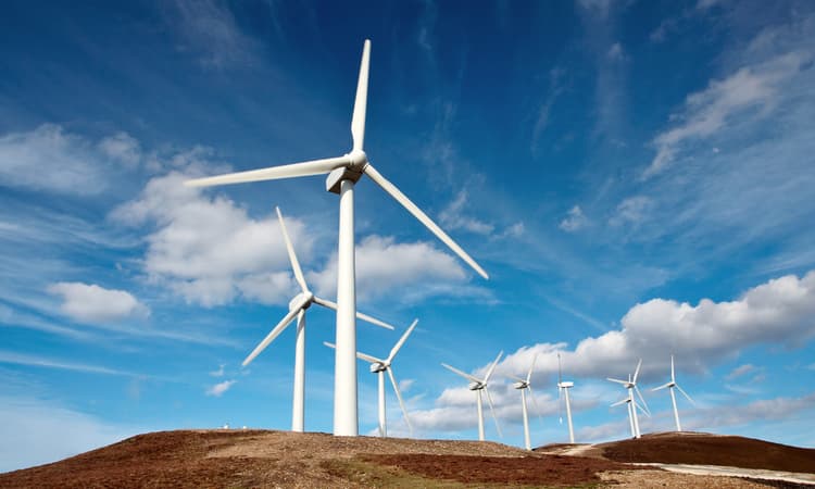 Germany hits renewable energy record high