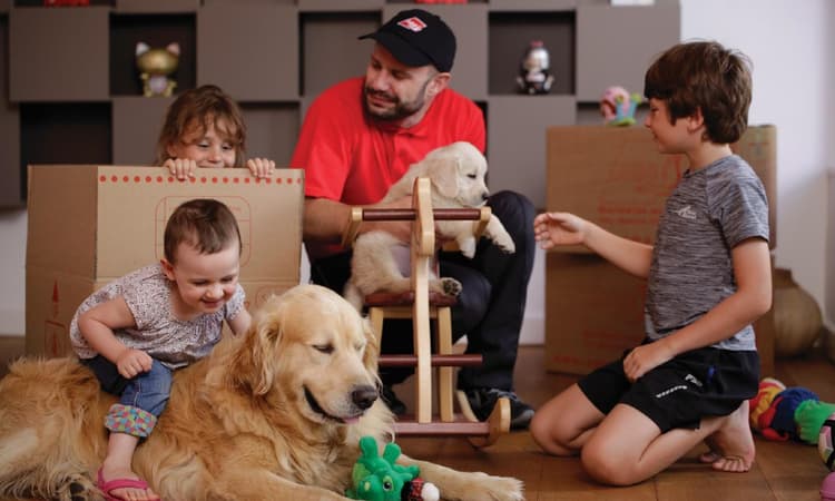 Beyond the box: AGS Movers' comprehensive moving solutions
