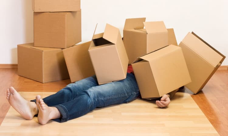 Moving house or apartment in Germany: Tips for a smooth moving day