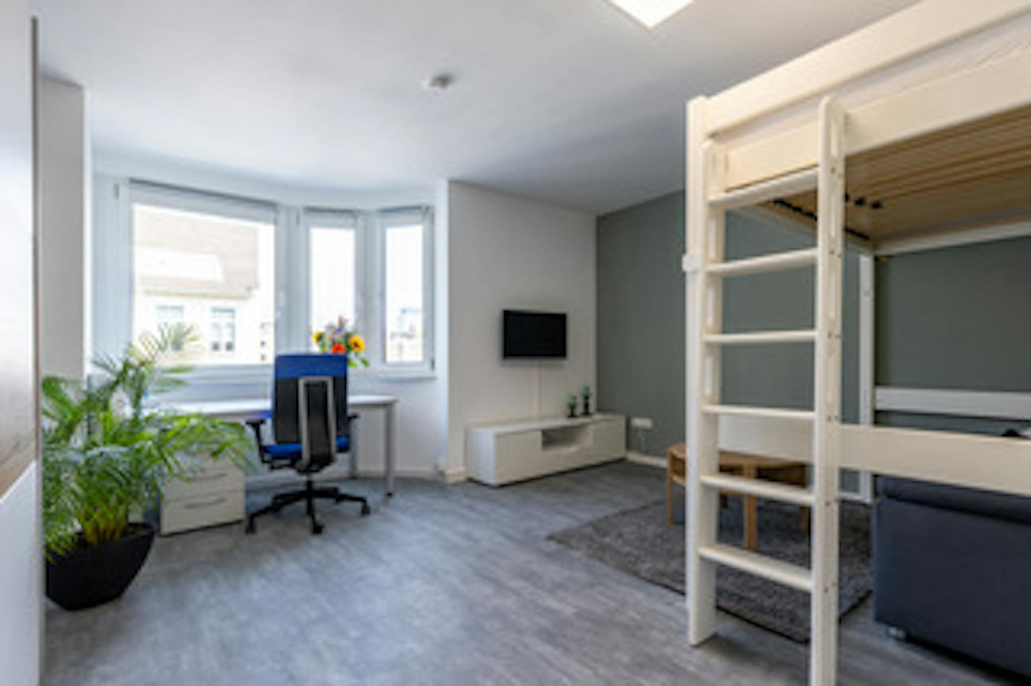 Apartment, Richard-Wagner-Straße, Cologne