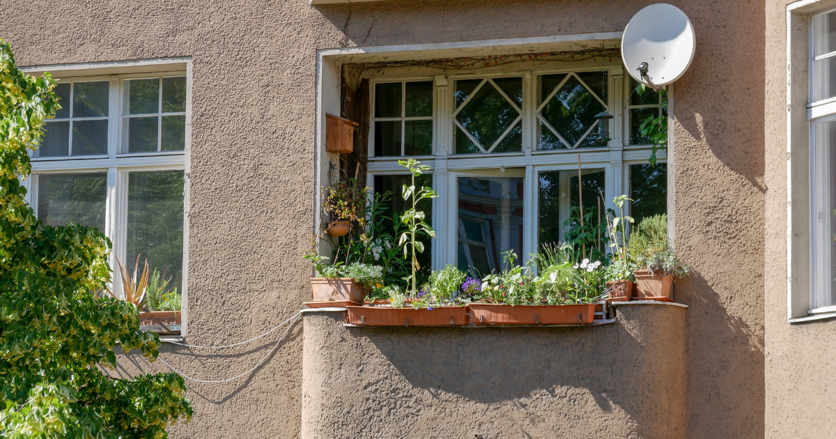 Berliner charged with manslaughter after falling plant pot kills man