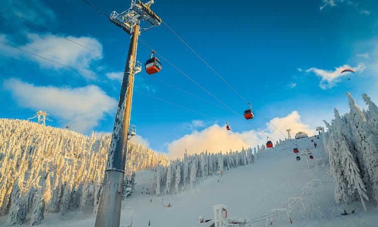 Angela Merkel calls for patience - and closure of EU ski resorts