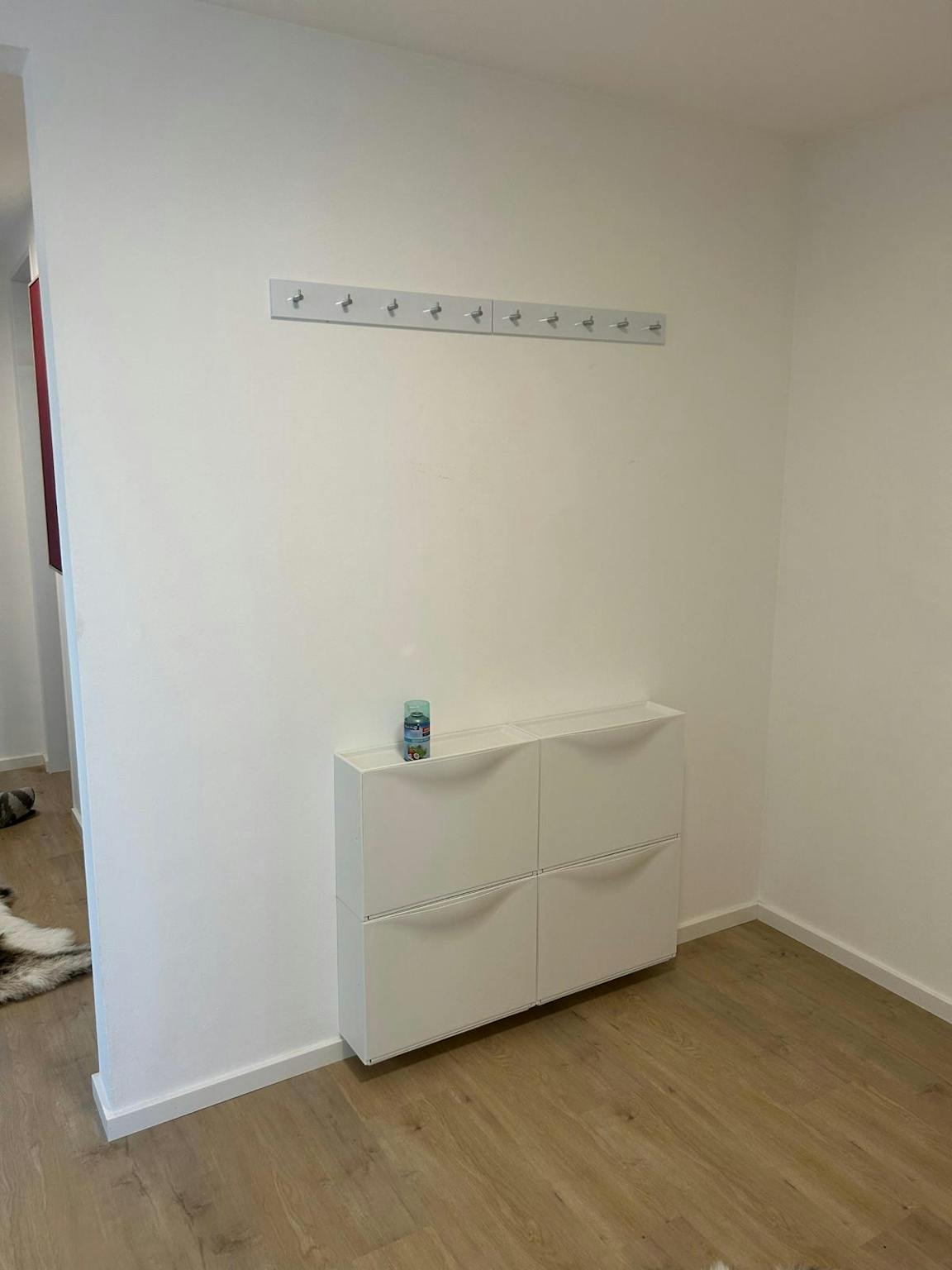 Apartment, Paracelsusstraße, Munich