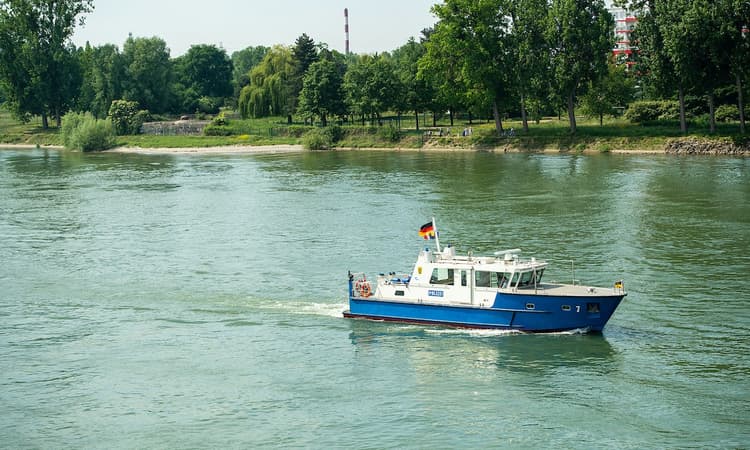 Swimming banned in river in Saxony-Anhalt after crocodile sightings