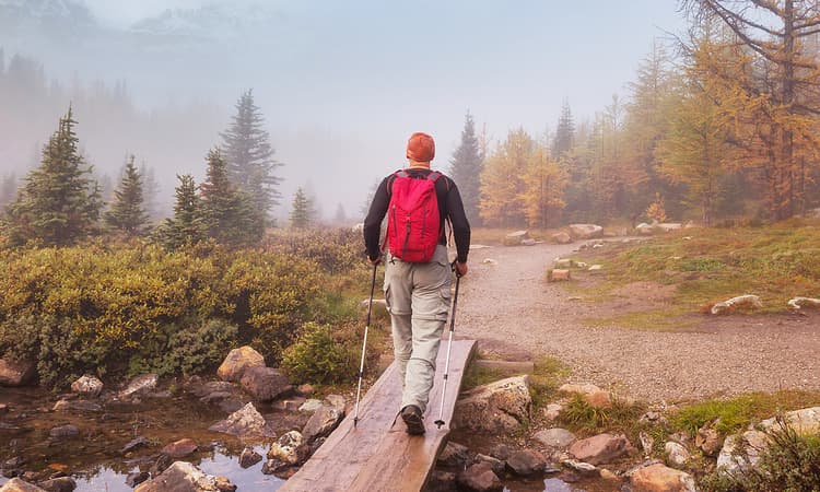 7 stunning autumn hikes in Germany 