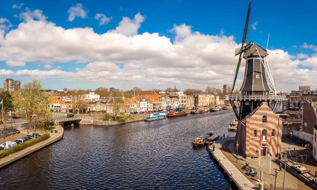 5 reasons why expats are flocking to Haarlem