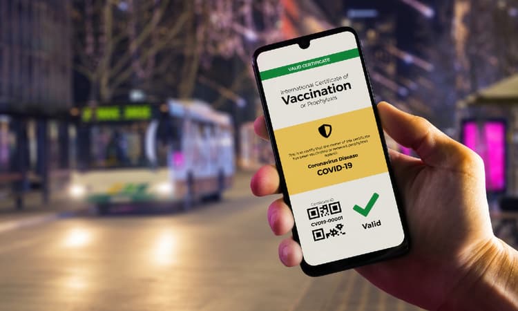 Merkel: EU vaccination passport to be introduced within 3 months