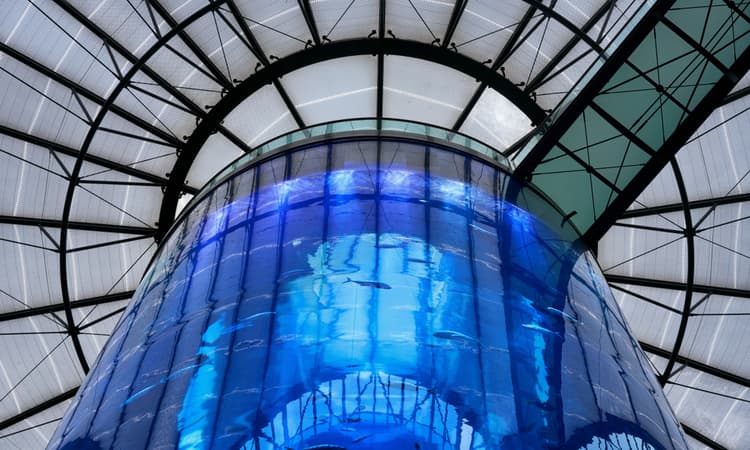 Why did Berlin's giant AquaDom aquarium explode?