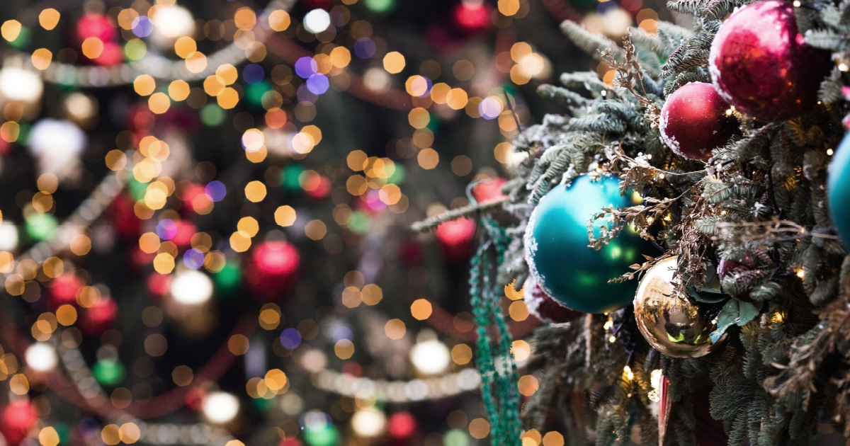 German couple break world record for number of Christmas trees at home