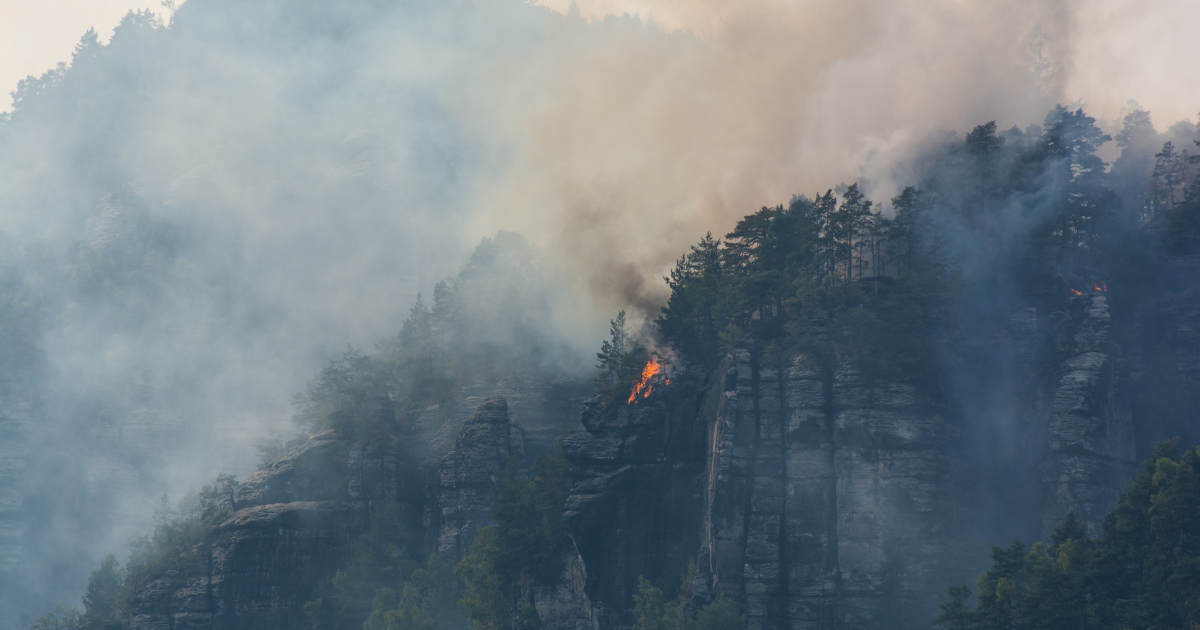 Storm kills man in Karlsruhe, wildfire continues in Meck-Pom