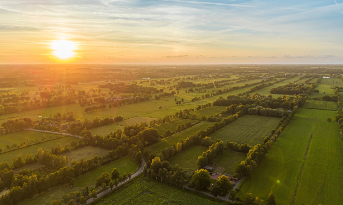 Summer solstice: How to celebrate the longest day of the year in the Netherlands