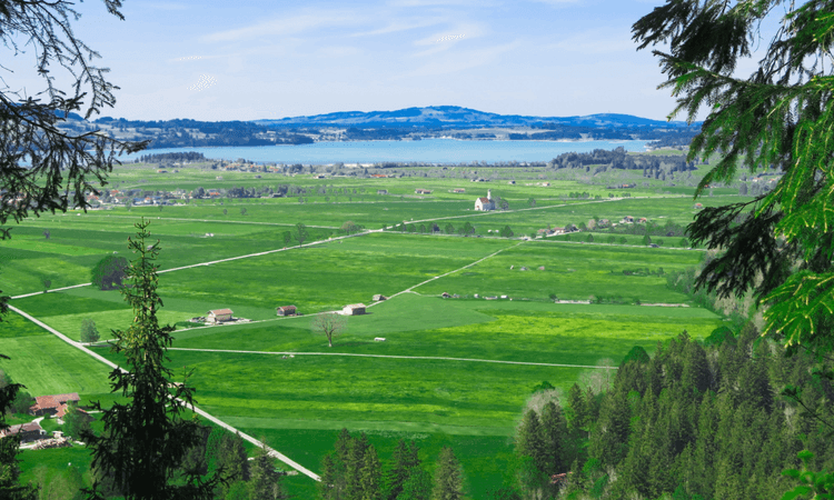 Housing crisis: Minister urges residents to move to German countryside