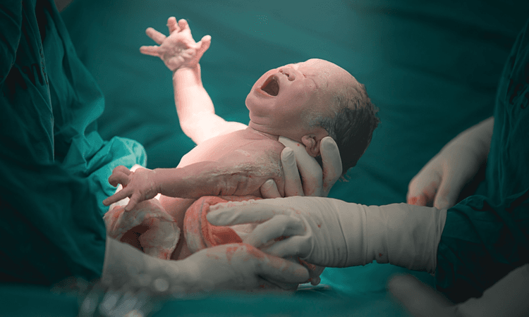 German birth rate drops to lowest level since 2009