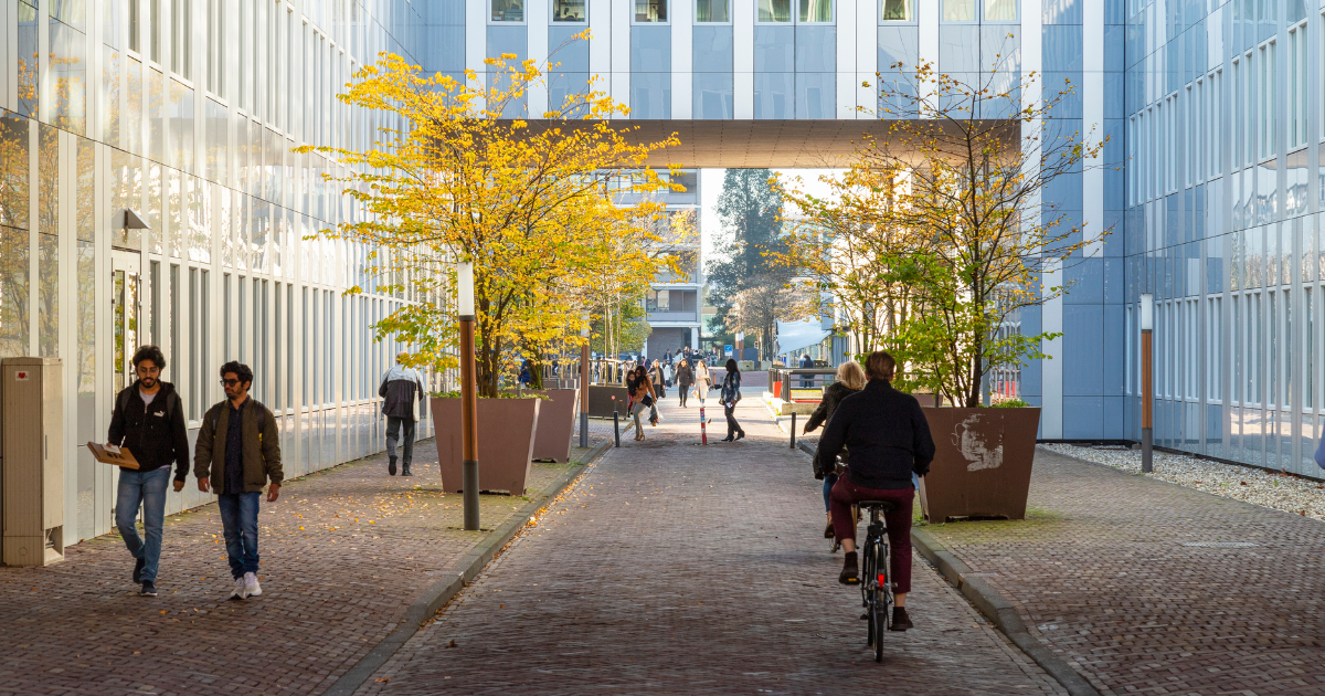 Hiring international graduates benefits Dutch businesses, study finds