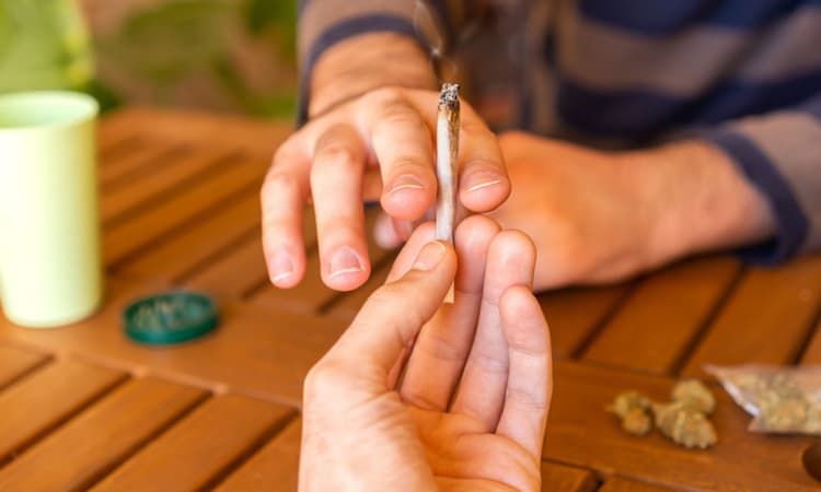 NRW rejects German government's plans for regional cannabis legalisation