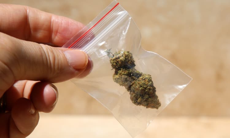 Drunk man gives German police his weed instead of ID