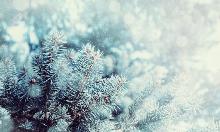 Will it be a white Christmas in Germany?