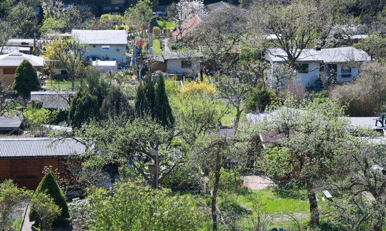 Looking for an allotment in Berlin? Now might be your chance!