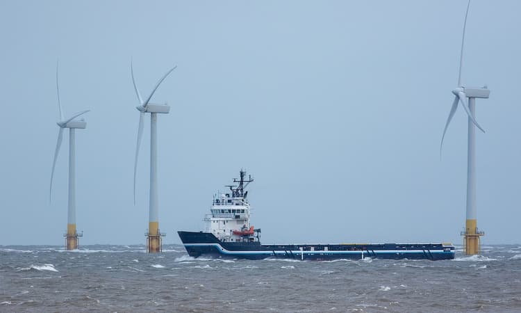 Germany pledges to build offshore wind farm with other EU states