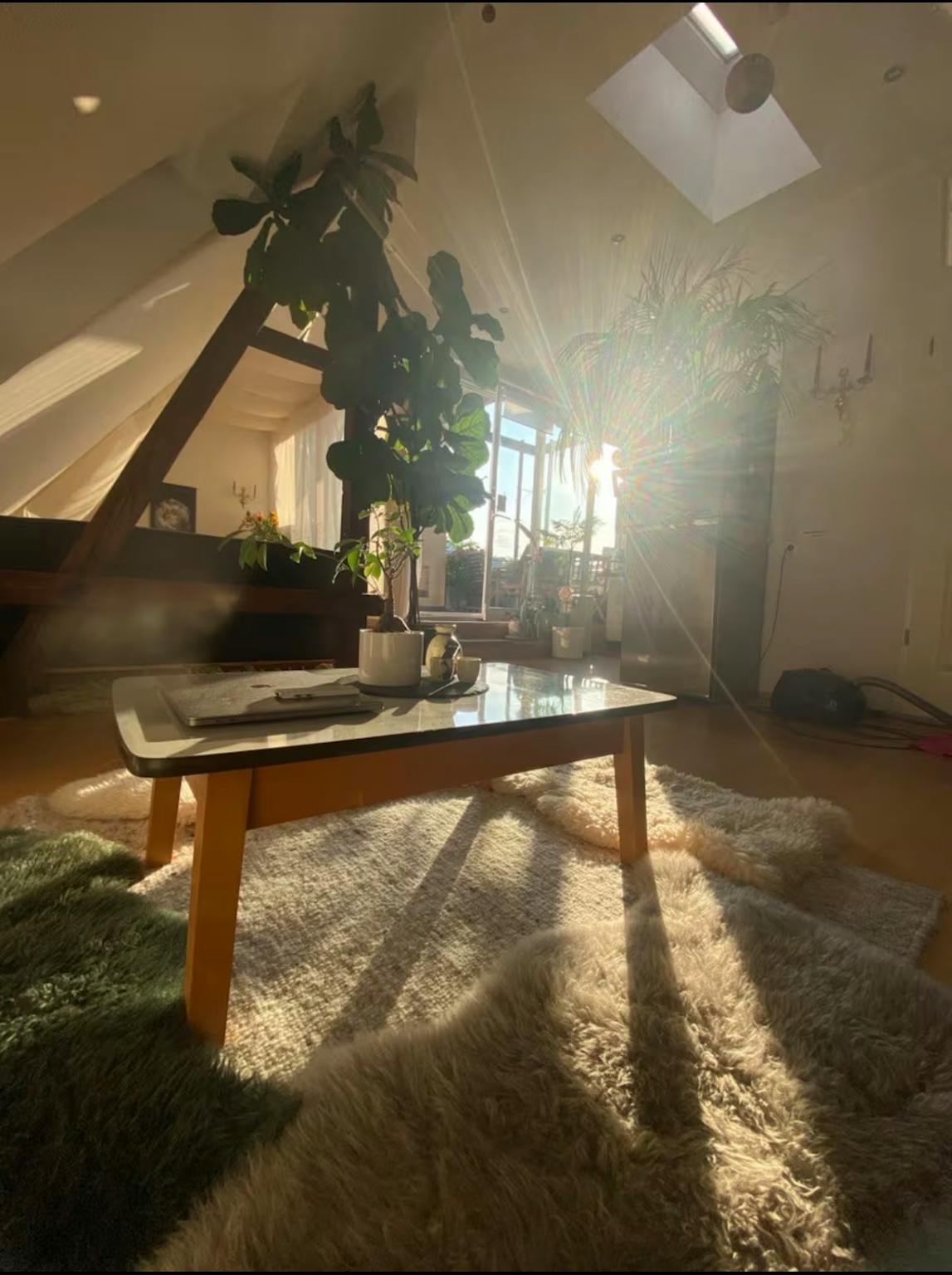 Apartment, Ferdinand-Lassalle-Straße, Leipzig