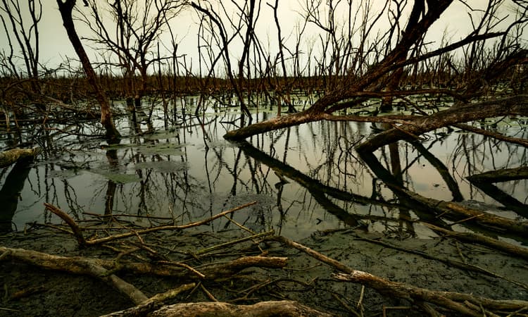 Environment Ministry unveils 4 billion-euro climate protection investment