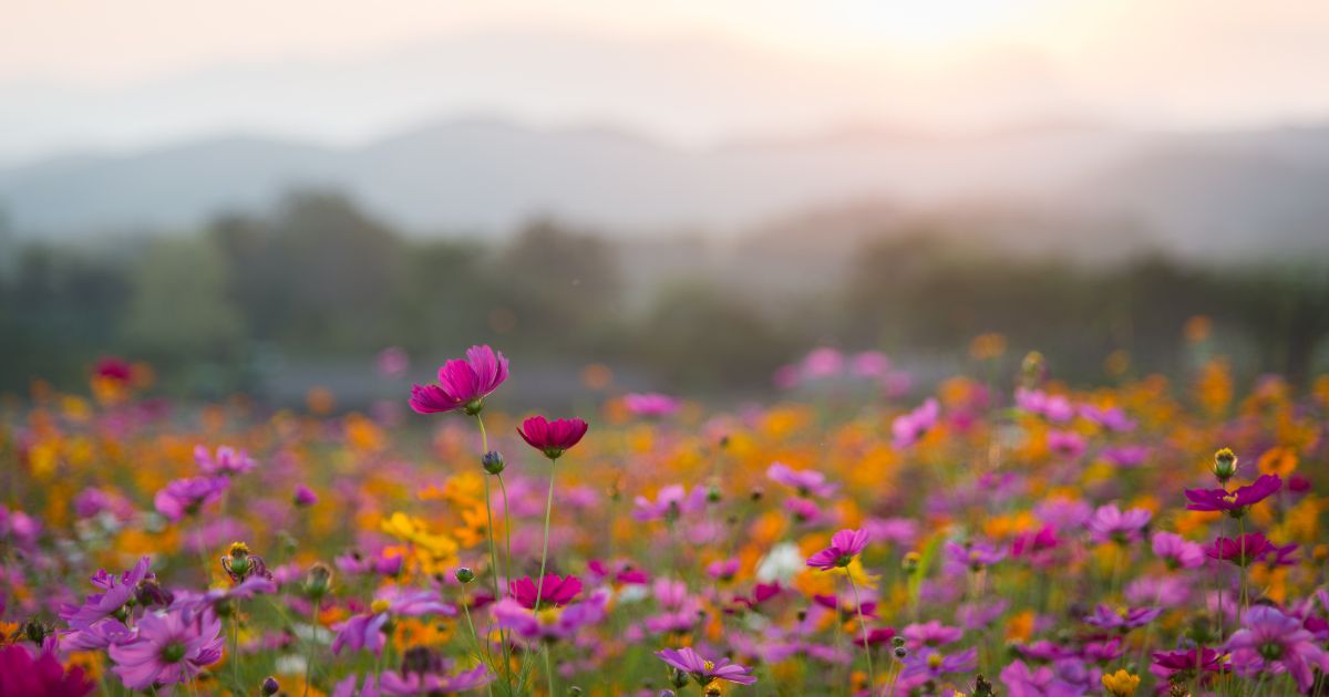 How long is long-grieving? How to heal with the Whole-Self method