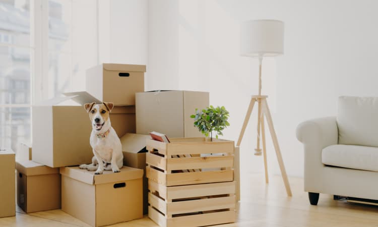 Start your relocation to Germany with Get In Expat!