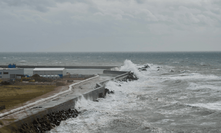Storm Ciarán causes travel disruption and delays in northern Germany