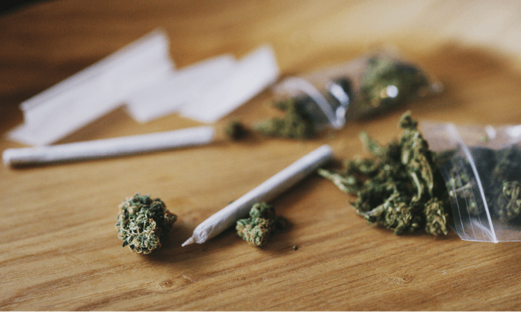 Buying cannabis in Germany: What are the rules? 