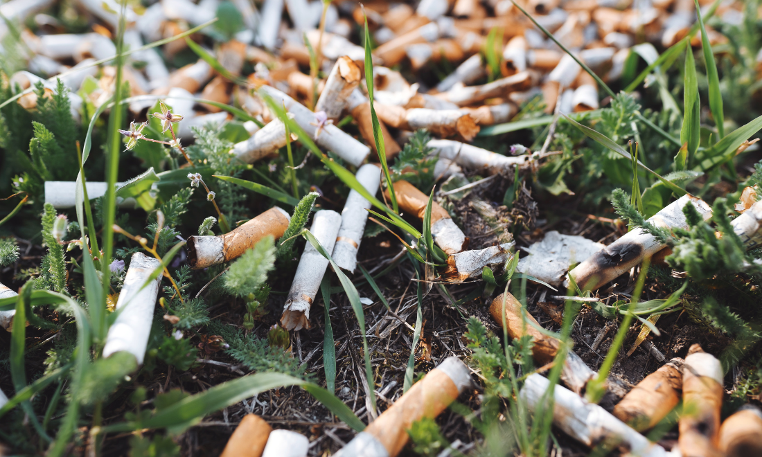 Artwork made of half a million discarded cigarette butts on display in Utrecht