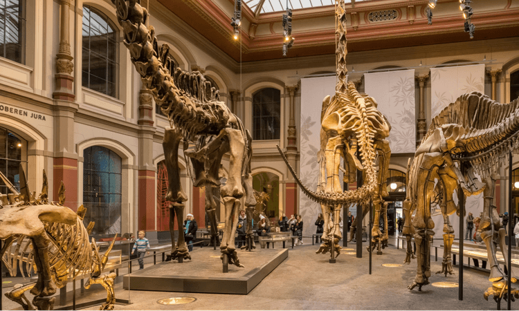 Berlin’s free museum visit scheme to continue until 2025