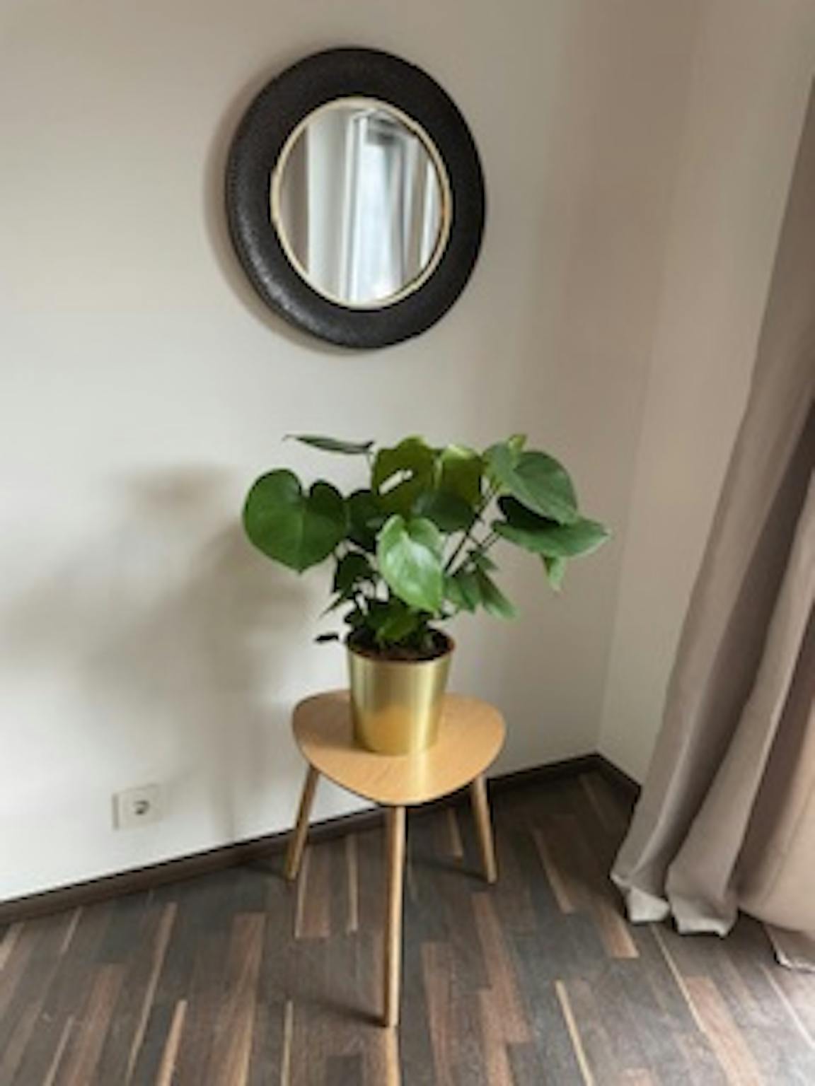 Apartment, Musäusstraße, Cologne