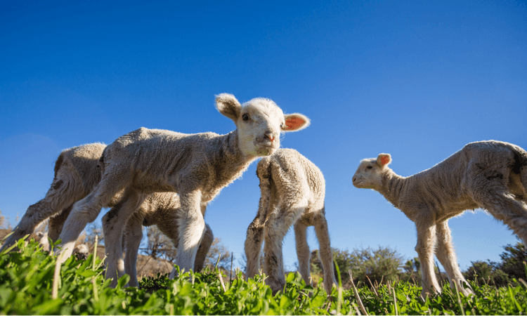 Germany expecting highs of 28C ahead of Easter weekend
