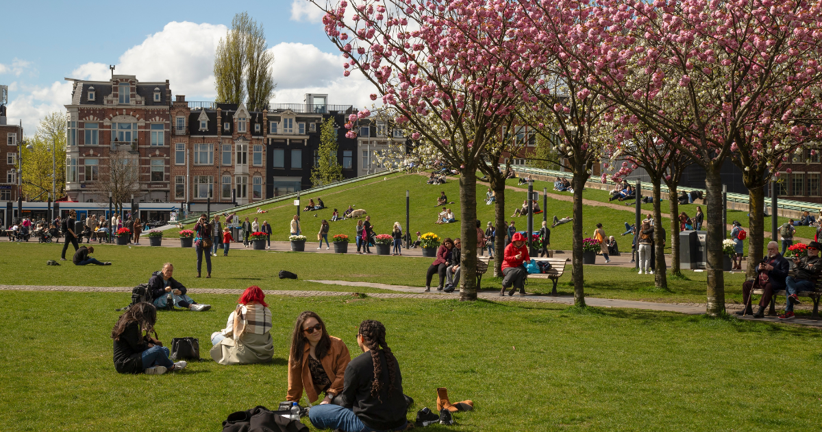 March 2026: 7 things expats in the Netherlands need to know