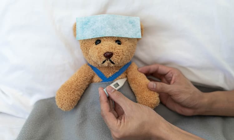 Teddy bears’ hospital opens in Munich for three days