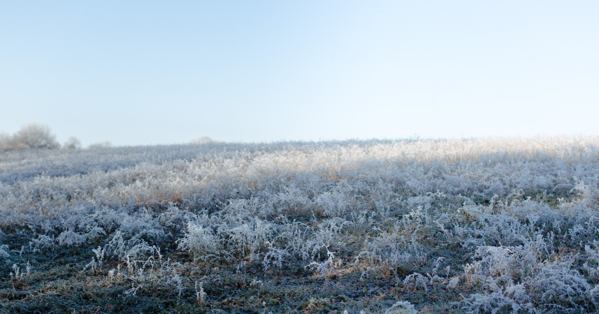 Frosty Weather Germany