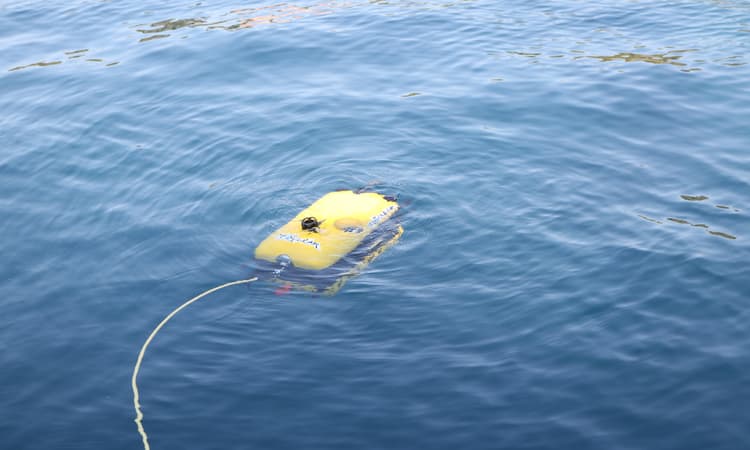 Hamburg port testing SEACLEAR robots that collect waste underwater