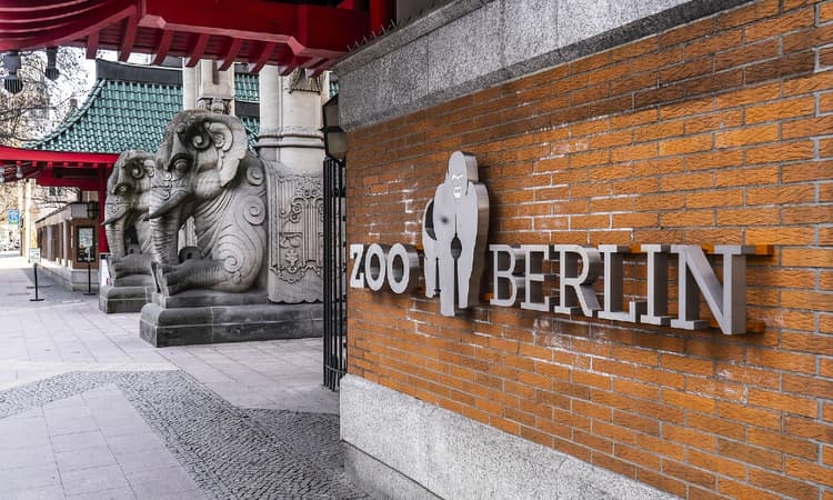 Berlin Zoo closes following bird flu case