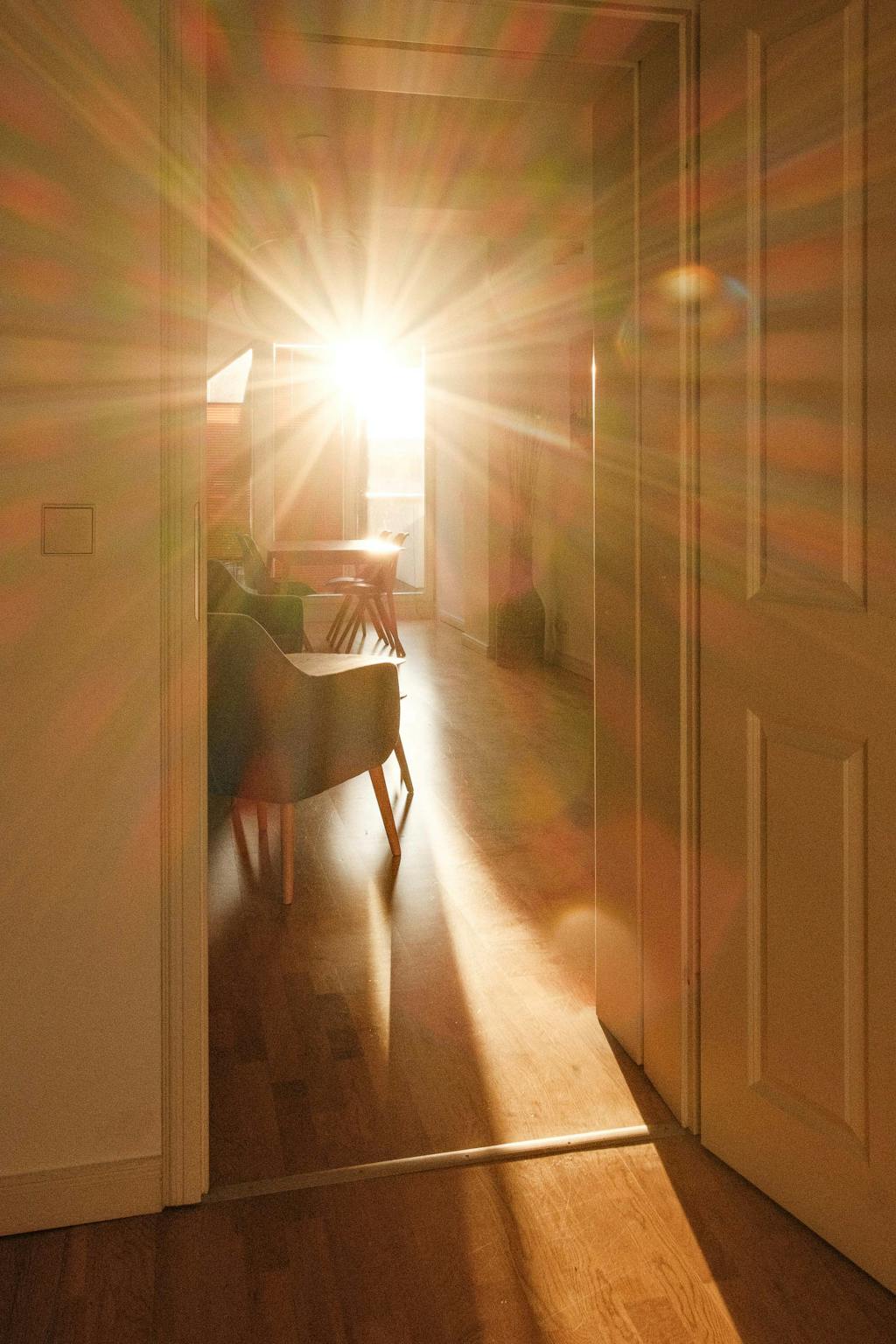 Apartment, Metzer Straße, Berlin