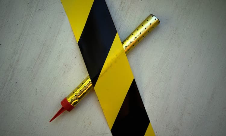 Survey reveals majority of Germans support firework ban