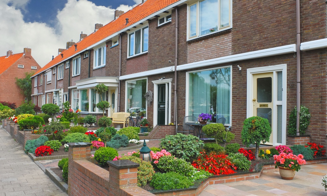 Dutch people are buying more plants to green up their gardens