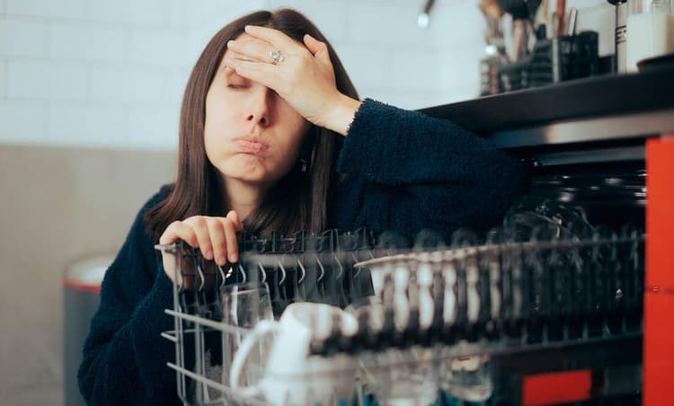 German woman locked in toilet by smart dishwasher
