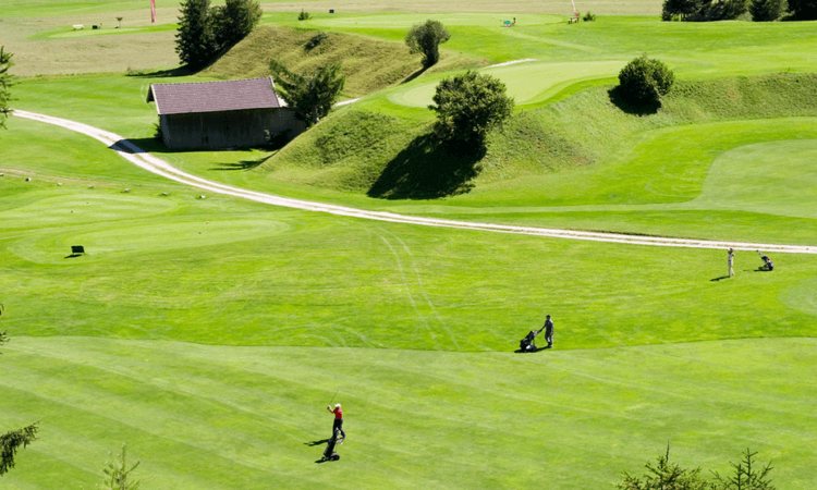 Berlin politicians suggest building on golf courses to remedy housing crisis