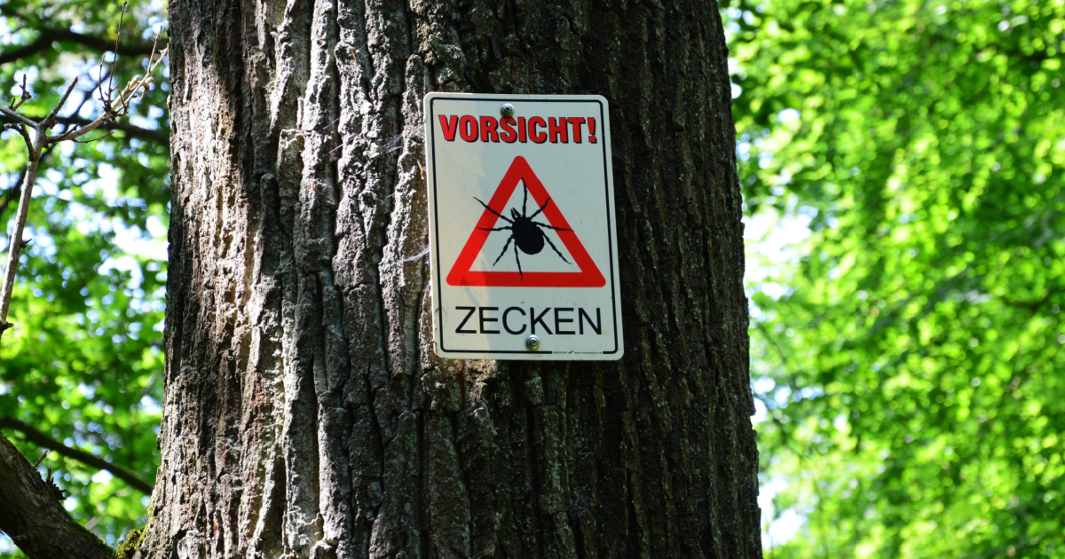 Two areas added to list of TBE risk zones in Germany