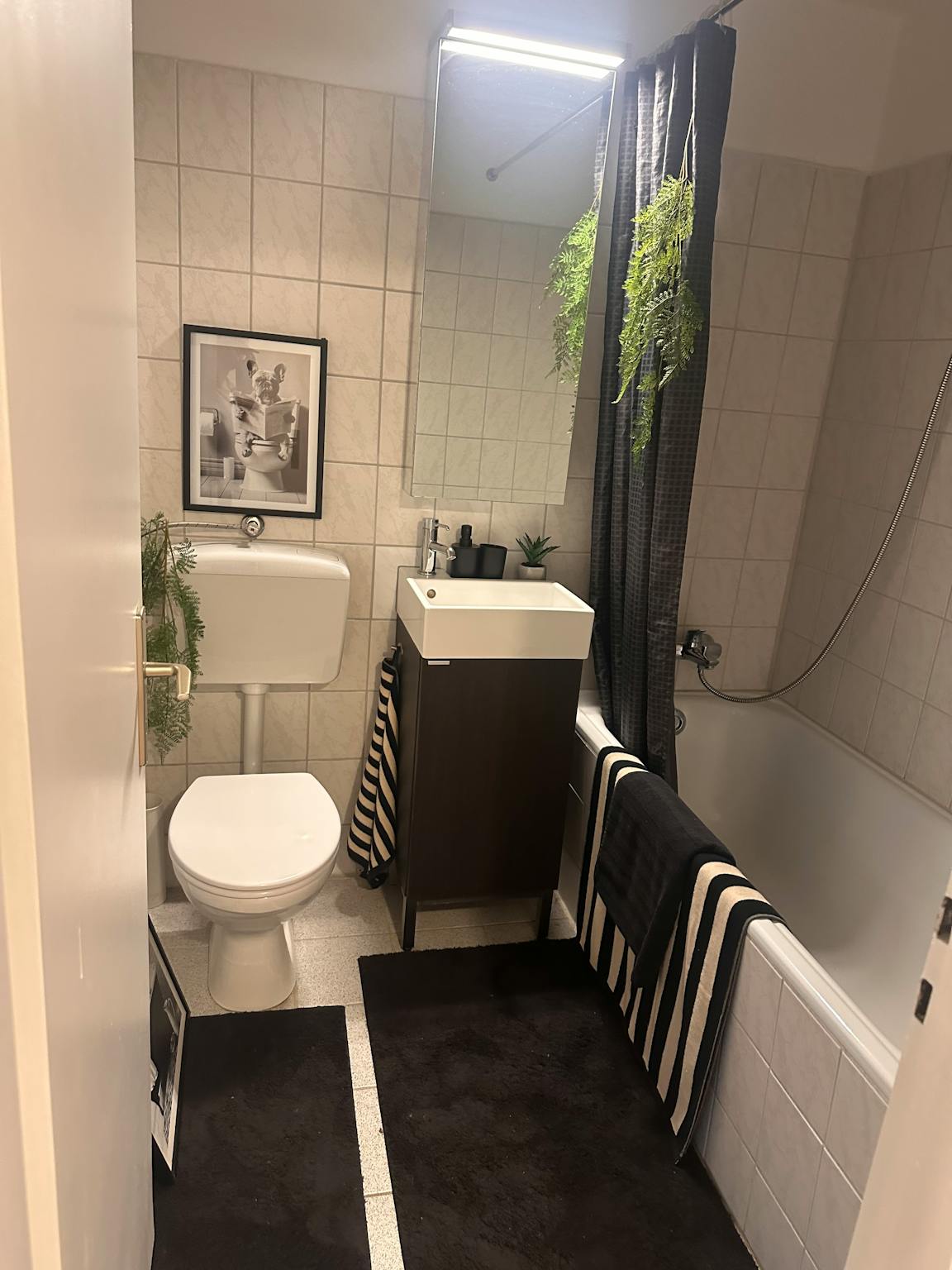 Apartment, Geistenstraße, Dusseldorf