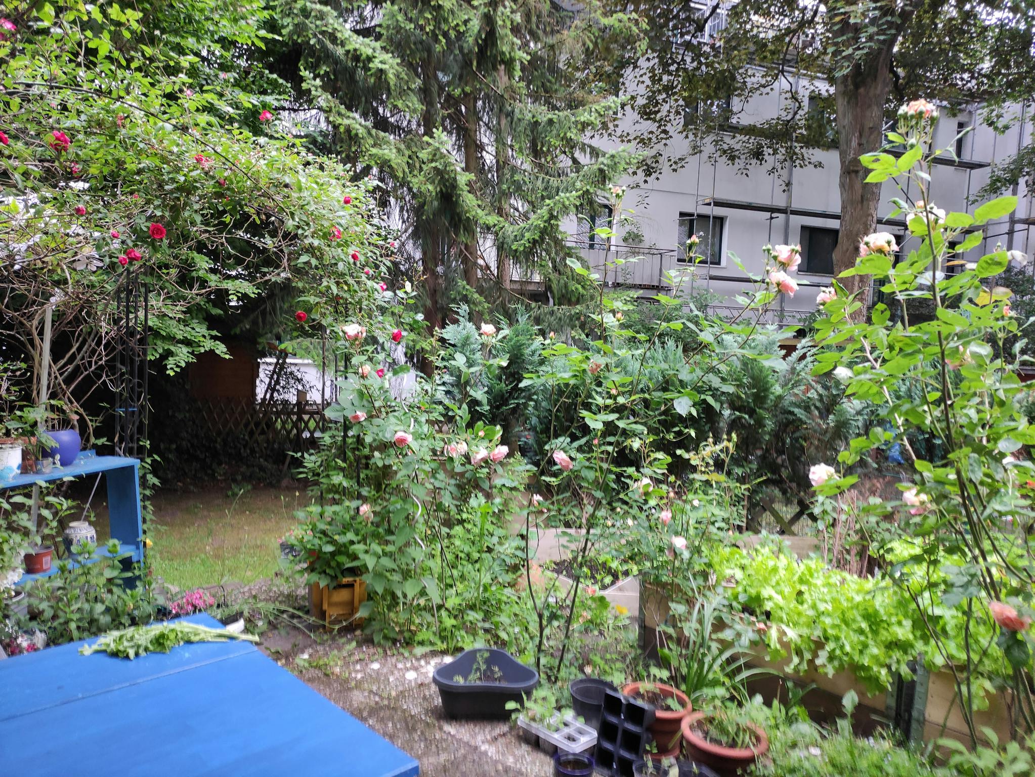 Apartment, August-Kirch-Straße, Hamburg